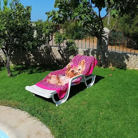 Great Quiet In With Pool *